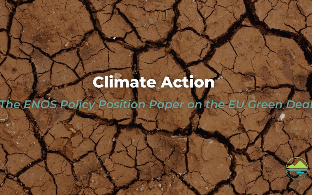 Position Paper, Section 8: Climate action