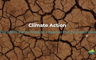 Position Paper, Section 8: Climate action