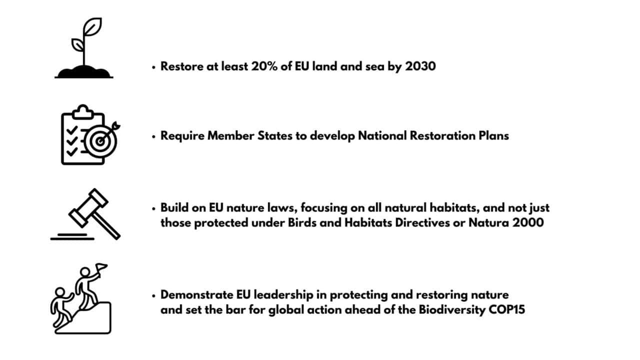 Nature Restoration Initiatives by ENOS | European network of outdoor sports