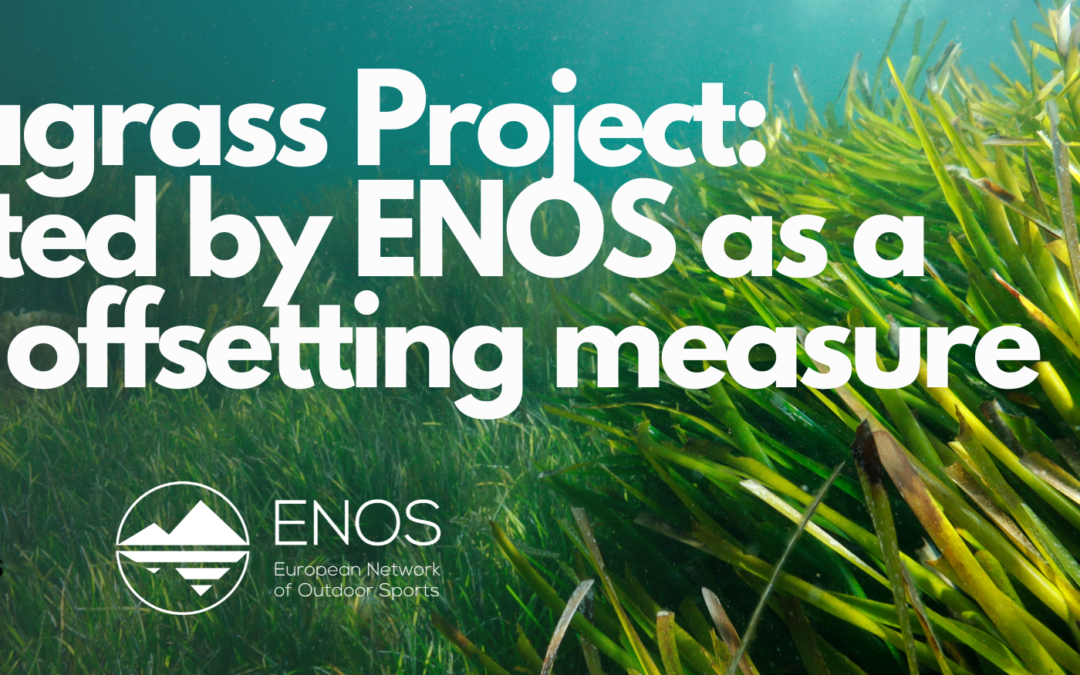 The Seagrass Project: supported by ENOS as a carbon offsetting measure.